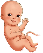 Sam logo